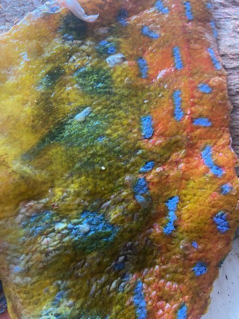 fish skin3